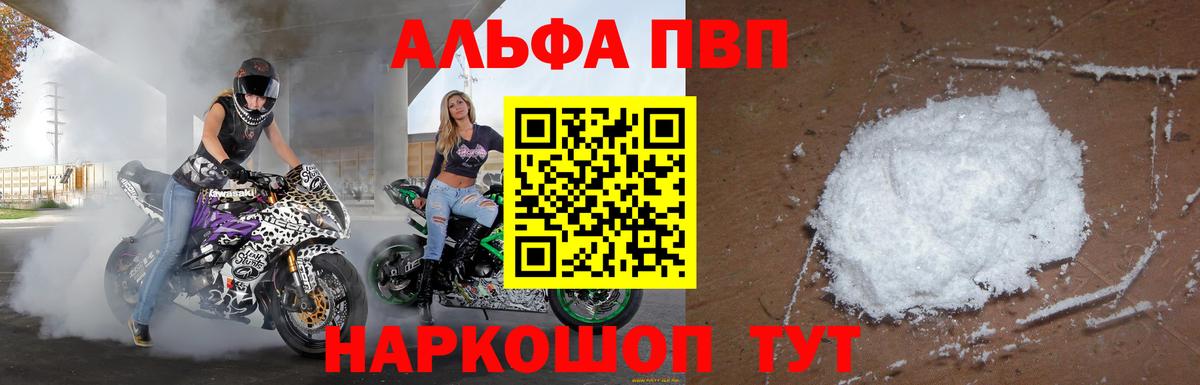 Альфа ПВП СК Братск