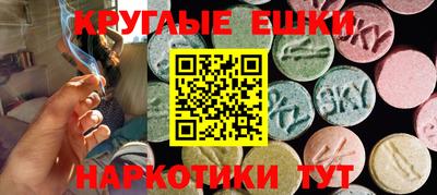 гидропоника Славгород