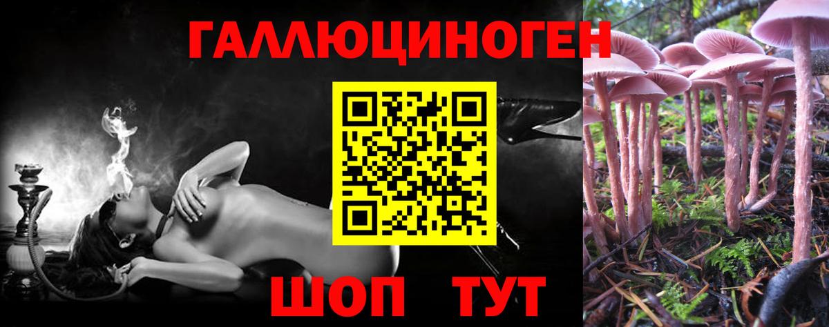 Братск  Псилоцибиновые грибы прущие грибы  Вход с VPN 