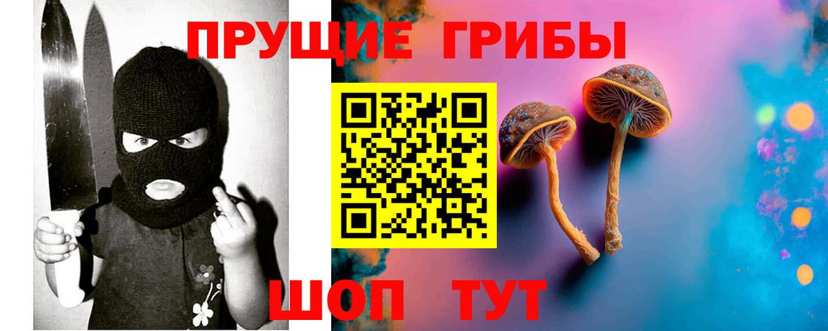 Псилоцибиновые грибы Cubensis Братск
